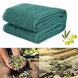 Viceree Erntennetz für Obst 6x6 Meter - Professionelles und Wetterfestes Olivenetz, Nüsse und Obst 50g/m² - Vielseitiges Olivennetz Maximiert den Ertrag