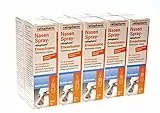 NASENSPRAY ratiopharm, für Sinusitis Erwachsene 10 Packungen - Sparset 10x15ml