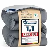 BEDSURE Bettdecke 135x200 Ganzjahresdecke Steppdecke - Bettdecke Ohne Bezug 135x200cm 300GSM - 4 Jahreszeiten Bettdecken Wende Grau/Hellgrau, Weiche Warm Duvet Schlafdecke für Allergiker