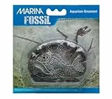 MA Ornament Tiger Fish Fossil 10,2x3x7cm
