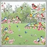 KIKISML Fensterbilder Frühling Selbstklebend mit Blumen Vögel Schmetterlinge, Fensterdeko Frühling Fenstersticker Wiederverwendbare, 9 Blatt Fensteraufkleber für Kinderzimmer