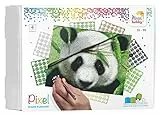 Pracht Creatives Hobby Pixel P090040 Mosaik Geschenkverpackung Panda, Pixelbild ca. 25,4 x 20,3 cm, kinderleichtes Stecksystem, ohne Bügeln und Kleben, Steinchen aus Biokunststoff, ideal für Kinder