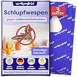 Wolkenfeld Schlupfwespen gegen Lebensmittelmotten – 3 Karten mit 1 Lieferung – Effektive & Chemiefreie Mottenbekämpfung – Natürliche Alternative zu Mottenfallen, Sprays & Pheromonfallen