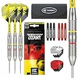 Target Darts Gabriel Clemens 22G Brass Dartpfeile Steeldarts-Set - Mit Zusätzlichem Zubehör-Geschenkpaket, Silber und Gelb