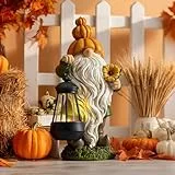 TERESA'S COLLECTIONS Herbstdeko Outdoor, Gartendeko für Draußen, Gartenzwerg lustig Wetterfest Figur, Herbst Dekoration mit Solarleuchte,Geschenke für Frauen