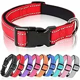 HEELE Hundehalsband, Hundehalsband aus Nylon, Reflektierend Halsband Hund mit Weich Neopren Gepolstert für Welpen Kleine Mittel Große Hunde Läng Einstellbereich 26-38cm, Rot, S