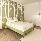 Baldiflex Matratzenauflage Memory 160x190 Höhe 6cm Bezung waschbar Aloe Vera