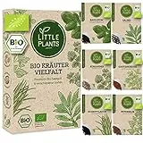 Bio Kräutersamen Set - 6 Sorten Kräuter Samen, Saatgut für Garten Balkon Hochbeet und mehr - Pflanzensamen Set
