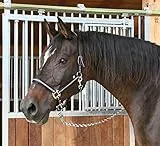 Kerbl Halfter Mustang 2-Fach verstellbar, Schwarz/Silber, 2, 321965