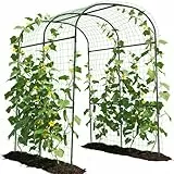 SUNYRISY Große Gurken Rankhilfe, Rankbogen Rankgitter für Gurke, Gartenbogen für Kletterpflanzen Rankhilfen, 210cm Hoher PE Beschichtete Metall Rankgitter mit Ranknetz, Blumen, Erbsen