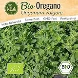 Little Plants BIO Oregano Samen 2000 Oreganosamen Kräutersamen Samenfest für Kräutergarten Kräuter Samen Küchenkräuter für Küche, Balkon und Garten
