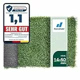 Floordirekt Kunstrasen Outdoor Rasenteppich Meterware - Grasteppich - Rollrasen - Kunststoffrasen - Rasen für Balkon & Garten Rasen Teppichboden für Außen nach Maß 14mm Höhe, Riviera 200x200 cm