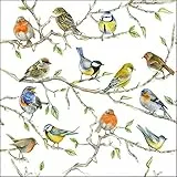 20 Servietten Treffen der SingVögel im Baum | Vögel | Tiere | Frühling | Sommer | Tischdeko 33x33cm