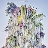 Sony Music Cmg Cousin