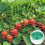 Vogelschutznetz Engmaschig, 4 x 12 M Vogelnetz für Obstbäume, Laubnetz Feinmaschig Gartennetz Teichnetz, Vogelnetz für Pflanzen, Früchte, Gemüse, Blumen, Sträucher (Grün-4 * 12M)