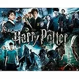 Paladone PP7527HPV2 Harry Potter Klassische Puzzles, Multi