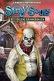 Stray Souls: Gestohlene Erinnerungen Sammleredition [PC Download]