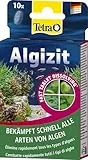 Tetra Algizit - vordosiertes Algenmittel mit schneller Biozid- Wirkung, hilft bei aktuten Algenproblemen im Aquarium, 10 Tabletten