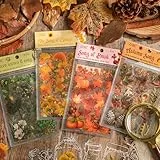 Herbst Sticker Set, Herbstdeko Aufkleber Mit Pflanzen Blumen Laub Kürbis Vintage Herbstliche Scrapbooking Sticker Herbst Wasserfeste Scrapbook Stickers Journaling Aufkleber Journal Zubehör