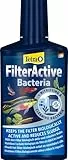 Tetra FilterActive Bacteria - 2in1 Mix aus lebenden Starterbakterien und schlammreduzierenden Reinigungsbakterien, hält den Filter biologisch aktiv und reduziert Mulm, 250 ml