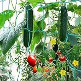 GDPLAN Ranknetz Gartennetze Kletternetz Großes Nylonnetz Rankhilfe Pflanzennetz Pflanzliche Kletterhilfen 2.5 x 2.0 Meter