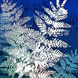 International Graphics Fertigbild - MIRA - ''Silver'' - 30 x 30 cm - Direktdruck auf Acryl