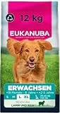 Eukanuba Hundefutter Trocken mit Lamm und Reis für große Rassen - Premium Trockenfutter für ausgewachsene Hunde, 12 kg