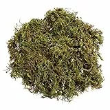 WINOMO Künstliches Moos, künstliches grünes Moos, dekorative Großpackung für Pflanzen, Garten, Rasen, Basteln, Dekoration, 60 g/Packung