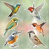 JSRQT 12 Stück Fliegengitter Magnete Dekorative Kolibri Doppelseitige Fliegengitter Reparatur Magnet Fliegengittertüren Magnete für Durchlaufschutz Reparaturset Fliegengitter Aufkleber