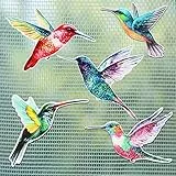 10 Stück Aquarell Kolibri Fliegengittertür Magnete Dekorative Flexible Doppelseitige Magnetische Aufkleber für Bildschirmtür Balkontür Dekoration und Durchlaufschutz (Frisch Stil)