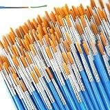 Halobios 100-teiliges Pinselset, runde Nylon Acrylfarben Pinsel für Erwachsene und Kinder, eignen Sich für Ölgemälde, Aquarell, Körpermalerei, Keramikmalerei, Zeichnen und Künstlerbedarf.