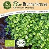 Little Plants BIO Brunnenkresse Samen 1500 Brunnenkressesamen Kräutersamen Kresse für Kräutergarten Samenfest Kräuter Samen für Küche, Balkon und Garten