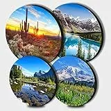 Walarky Saguaro Herdabdeckplatten 4er Set Kaktus Metall Runde Herdabdeckplatten für Elektroherd Gasherd Küchenutensilien Modernes Küchenzubehör