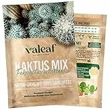 valeaf Kaktus Samen I bunter Kaktussamen Mix I Kakteen Samen als Zimmerpflanzen Samen I Kaktus selbst züchten I Sukkulenten Samen im Sukkulenten Mix I Saat Geschenk für PflanzenliebhaberInnen