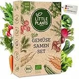 Little Plants Gemüse Samen Set - 12 Sorten BIO Samen Gemüse - 100% natürlich & extra viele Gemüsesamen - Saatgut Gemüse - Hochbeet Zubehör - Sämereien Saatgut Set Gurke Karotte Salat & mehr