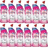 Sagrotan WC-Reiniger Blütenfrische – 2in1 Reinigungsmittel mit Antischmutzfilm für langanhaltende WC-Frische – 12 x 750 ml
