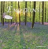 Alpha Edition - Emotions 2026 – Wandkalender 30×30 cm mit Landschaftsfotografien & Platz für Notizen, Broschürenkalender mit Ferienterminen, inspirierender Bildkalender für Zuhause & Büro