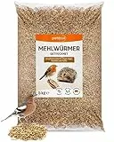 petifool petifool Mehlwürmer getrocknet 5kg – Insektensnack für Vögel, Nager, Fische, Schildkröten und Reptilien – hochwertiges Naturprodukt – proteinreicher Snack für Wildvögel