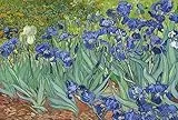 Puzzles 1000 Teile für Erwachsene, Irises von Vincent Van Gogh, 70 x 50 cm, Puzzles für Erwachsene, pädagogisches Herausforderungsspielzeug, 1000 Teile Van Gogh-Puzzles für Erwachsene und Kinder