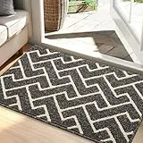 Biscpro Fußmatte Innen, Schmutzfangmatte Innen 60 x 90cm Wasserdicht Türmatte rutschfest Fussmatte SauberlaufmatteTeppich für Außen Eingang, Haustür, Patio, Flur-Schwarz