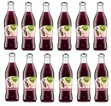 12 Flaschen a 250ml Vio Schorle Schwarze Johannisbeere inclusive 1.80€ MEHRWEG Pfand Glas + Space Riegel von Onlineshop Bormann