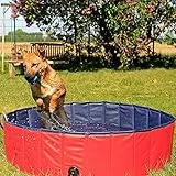 lionto Hundepool faltbar aus kratzfestem PVC-Material, Ø 80 cm, Höhe 20 cm, Anti-Rutsch-Belag & Abflussstopfen für schnelle Entleerung, Keine Pumpe benötigt, robuster Kinderpool, blau/rot