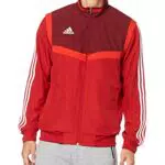 adidas Herren Jacke TIRO19 PRE JKT, Rojpot/Buruni/Blanco D95933