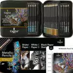 Castle Art Supplies 48-teiliges Metallic-Buntstifte-Set mit Extras