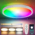 COFEMY LED Deckenlampe - 24W Dimmbar Bluetooth Deckenleuchte mit Fernbedienung und App 3000k/4000k/6000k FüR Beleuchtung Wohnzimmer Schlafzimmer Küche Korridor Balkon Badezimmer Esszimmer