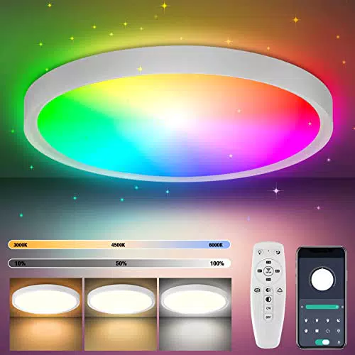 COFEMY LED Deckenlampe - 24W Dimmbar Bluetooth Deckenleuchte mit Fernbedienung und App 3000k/4000k/6000k FüR Beleuchtung Wohnzimmer Schlafzimmer Küche Korridor Balkon Badezimmer Esszimmer