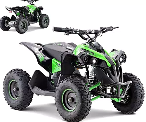 D+L 1060W 48V Kinder Buggy Miniquad ATV Kinderquad Pocketbike