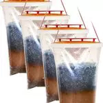 Fruchtfliegenfall-Lebendfalle 4Pcs Lockstoffbehälter Ranch Fliegenfalle Insektenfalle Outdoor Fliegenfängerkäfig die Effektivste Insektenfalle für Fliegen Mücken Bienen
