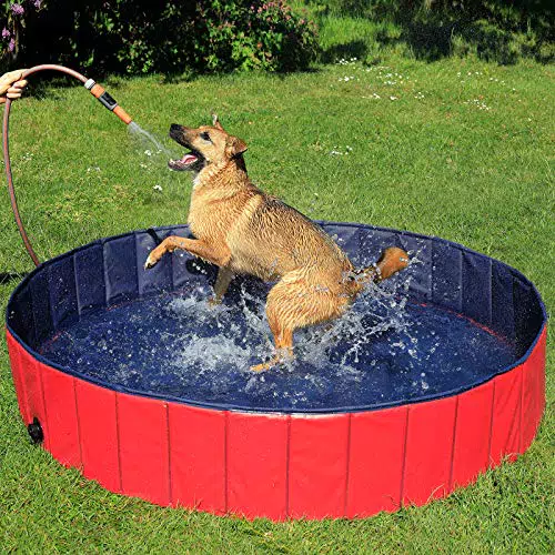 lionto Faltbarer Hundepool Schwimmbecken für Hunde Hundebad Kinderpool