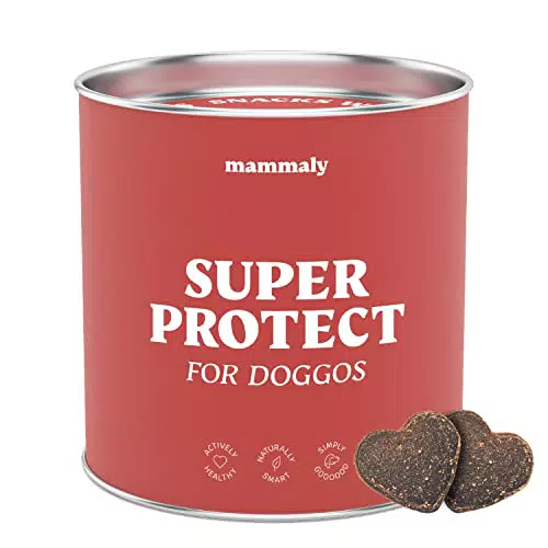 mammaly Super Protect Hund, der Haut und Fell Hundesnack unterstützt die körpereigene Abwehr